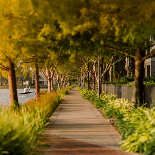 Laguna at Lake Pointe Townhomes Sims Luxury Builders